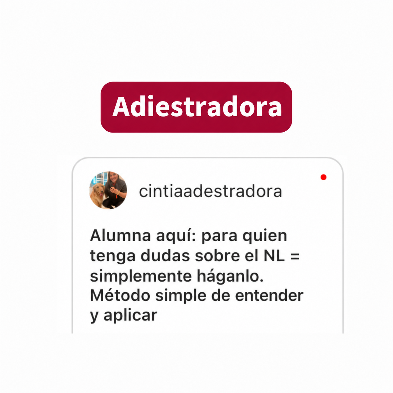 ChatGPT Image 2 de set. de 2026, 15_37_24 (4)